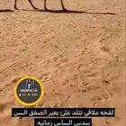 تم البيع الملاقي