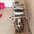 القطيف