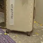 دبش المدينه المنوره اجار