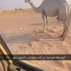 عرض خلفه