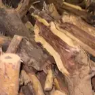 صندوق للبيع بلد س م ر صافي لا بويه ولا معجون شرط