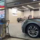 5 جنوط جنسس كوبيه