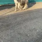نجد خصم الخصم. تم البيع
