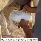 خلفه وضحا حليبها واجد وحالي وهديه وهشه