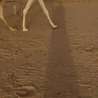 بكره