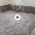 مجلس كمل مع فرشه 250