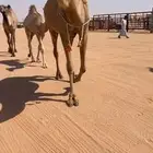 عشرا