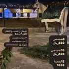 تدريب ركوب خيل