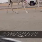 عشرا وضحا ثنيه معها بكره