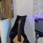 عود للبيع