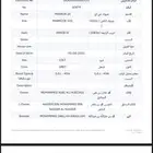 حصان واهو فاخر للبيع