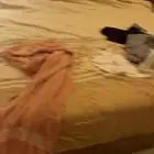 سليمانيه