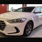 ( النترا )افانتي ديزل 2017 وارد كوريا