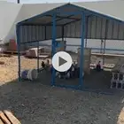 صندقة دجاج للبيع. 3في 3. استخدام بسييط