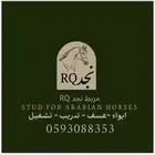 مربط نجد RQ ايواء عسف تدريب عسف