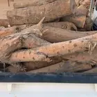 مستورد ط ل ح هايلكس