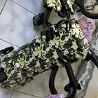 سكوترات