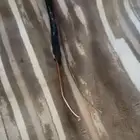 عندي نحاس مكيف سبلت ثلاثه متر