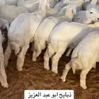 ذبايح حري ونعيمي وتيوس مخرج 36 الرياض ( متوفر تمارا )