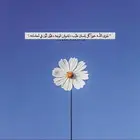 احتاج دور ارضي للإيجار واسع في حي الوادي او الرصف او قفار