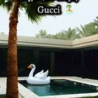 شاليه قوتشي 77