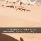 للبيع نياق