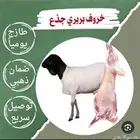 طليان برابر مرابي3 شهور