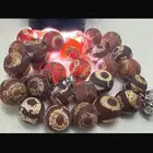 سبحة جلد الحية - أو التبت