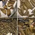 عود مروكي