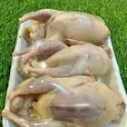 سمان فري ودجاج وبيض مريعي