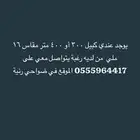 ضواحي رنيه