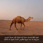 خلفه ثنيه تحتها حواره عمرها شهرين