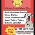 تدريب كلاب محترف   جده . Professional Dog Training   Jeddah