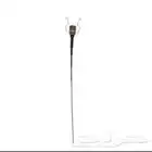 الي عنده ريشه زينه للبيع. اهم شي ان يكون اب تبوك