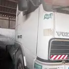 راس فلفو وارد الزاهد