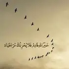 نشتري معدات زراعية