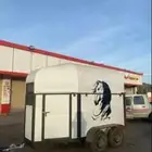 عربه نقل خيل راسين المدينه وضواحيها