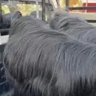 عنزين حليب عوراض كفو