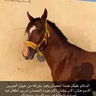 بسم الله الرحمن الرحيم