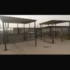 ايواء خيل باكامل 3 بواديك