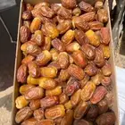 تمر صقعي رطب