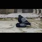 زوج نفاخ اسباني top