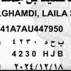 اكسنت 2010 تشليح