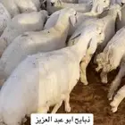 ذبايح حري زواجات .. وسط ( الرياض مخرج 36 )
