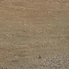 بطحاء للبيع الحنية المزاحمية