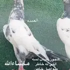 حمام باكستاني سخي