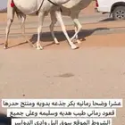 خلفه وضحا بكر جذعه تحتها قعود