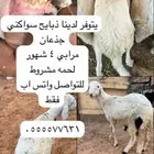 ذبيحتك واصله لبيتك