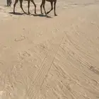 بكار خوات عبدانيات فيها باتليه الخامسه