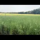 مزرعة للايجار